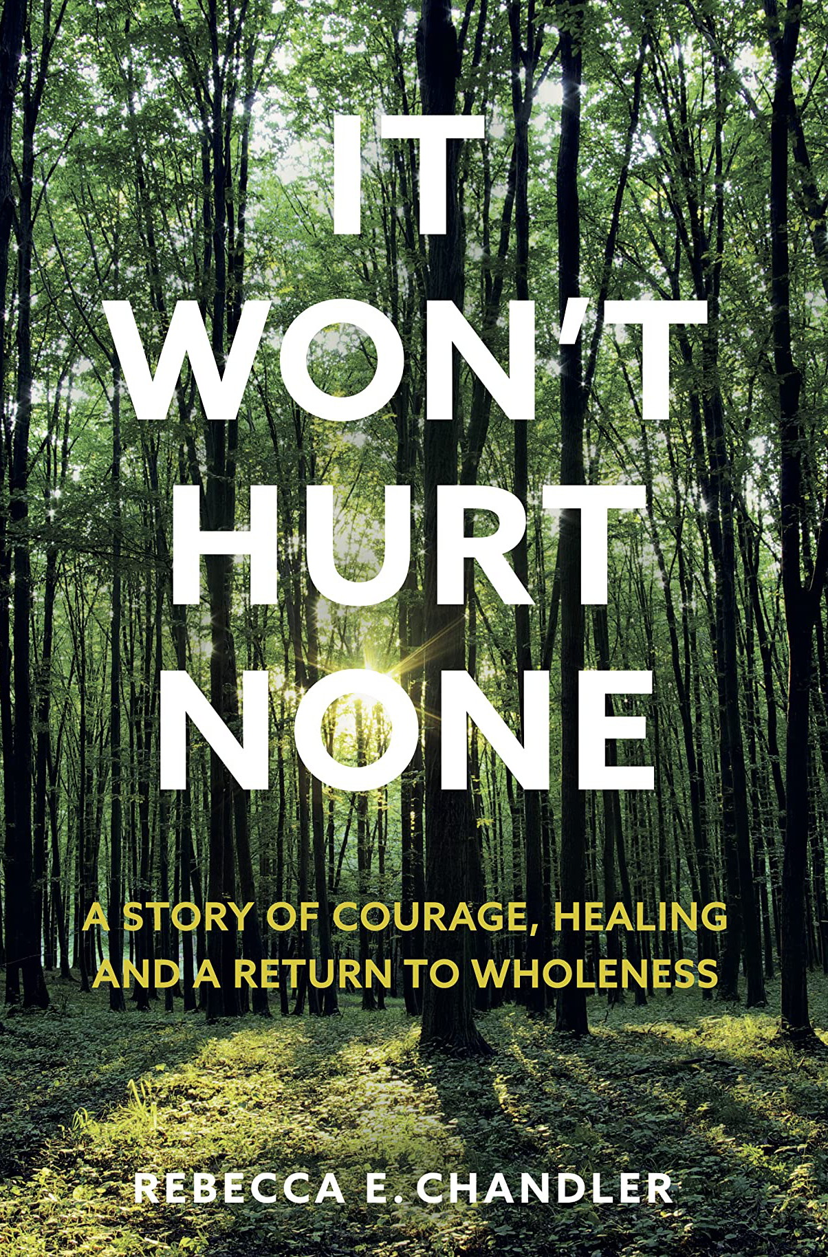 It Won't Hurt None by Rebecca E. Chandler