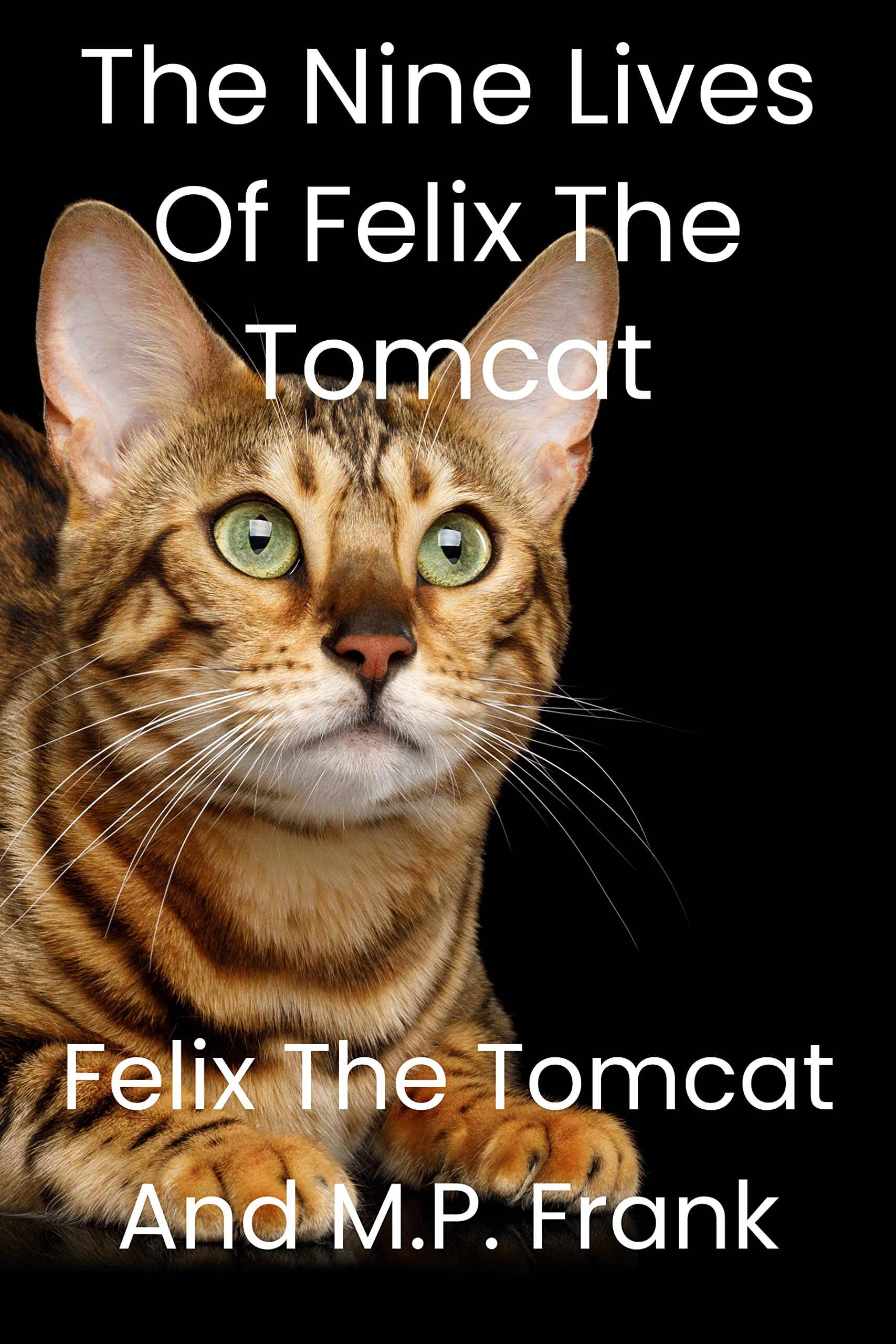 The Nine Lives of Felix the Tomcat by by M.P. Frank