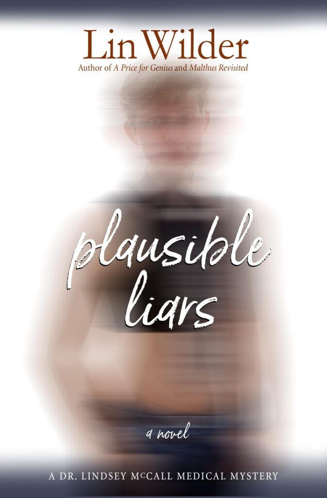 Plausible Liars by Lin Wilder